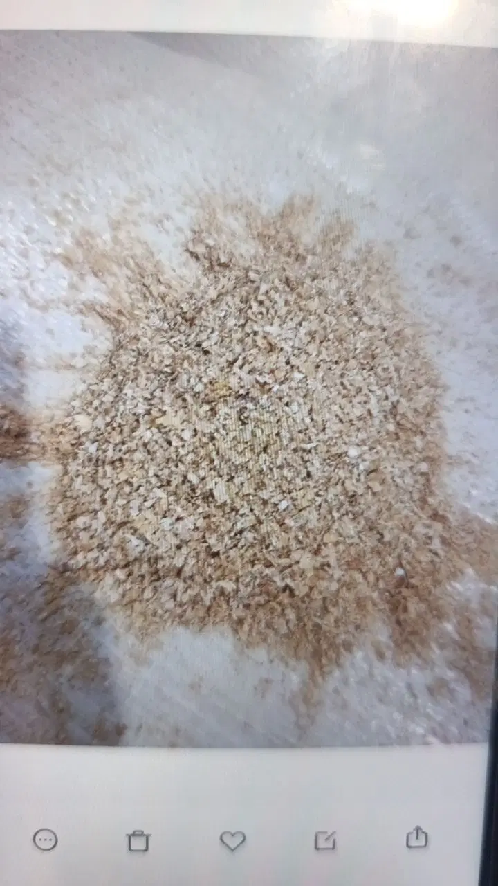 خوراک دام به صورت تناژ|خوردنی و آشامیدنی|شیراز, شهرک مهدیآباد|دیوار