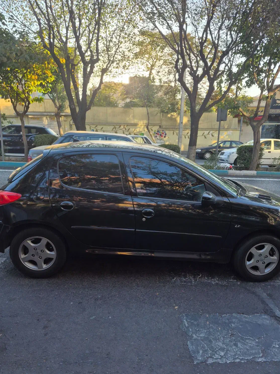 ۲۰۷ پانا بی رنگ ۴۰۱|خودرو سواری و وانت|تهران, جماران (نیاوران)|دیوار