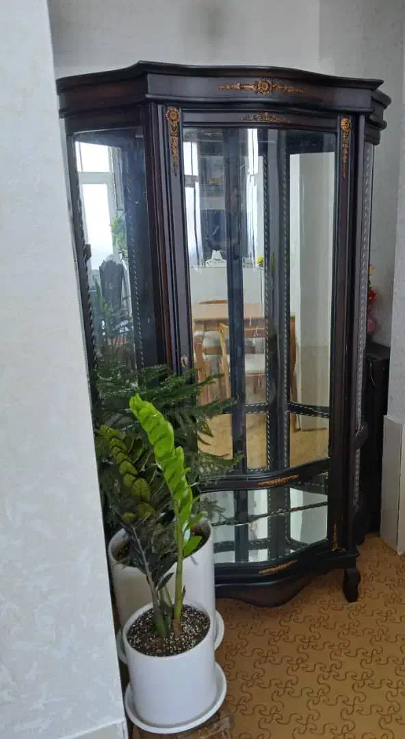 بوفه پارتیشن درحد نو|بوفه، ویترین، کنسول|جهرم, |دیوار