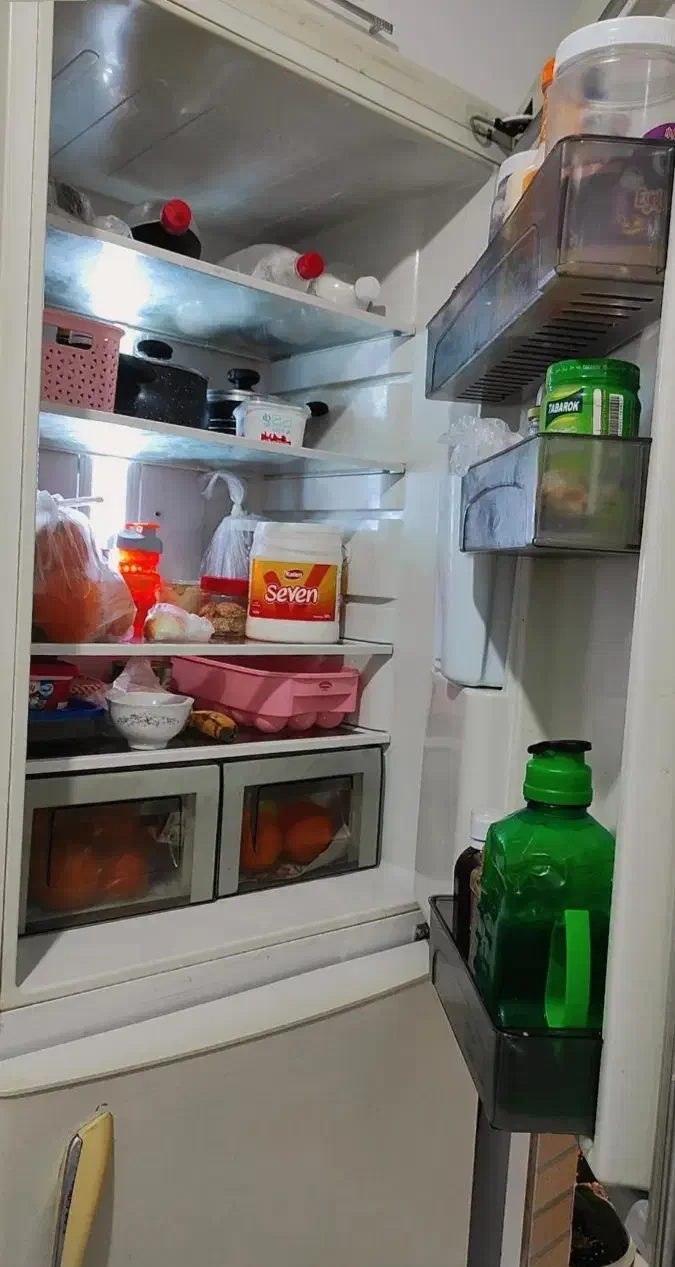 یخچال الکترواستیل|یخچال و فریزر|رشت, پاره بیجار|دیوار