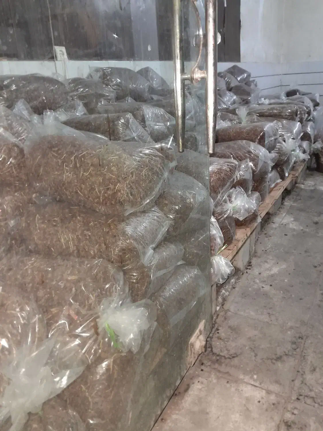 ضایعات کشمش|خوردنی و آشامیدنی|اهواز, آسیاباد|دیوار