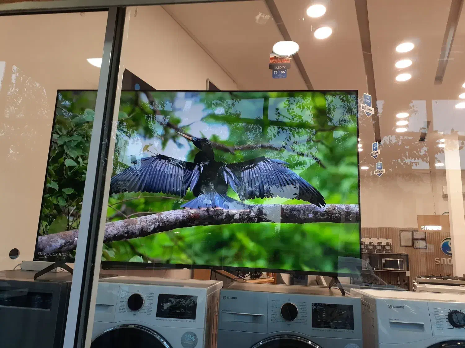 تلویزیون 75 اسنوا اقساط 15 ماهه|تلویزیون و پروژکتور|شازند, |دیوار