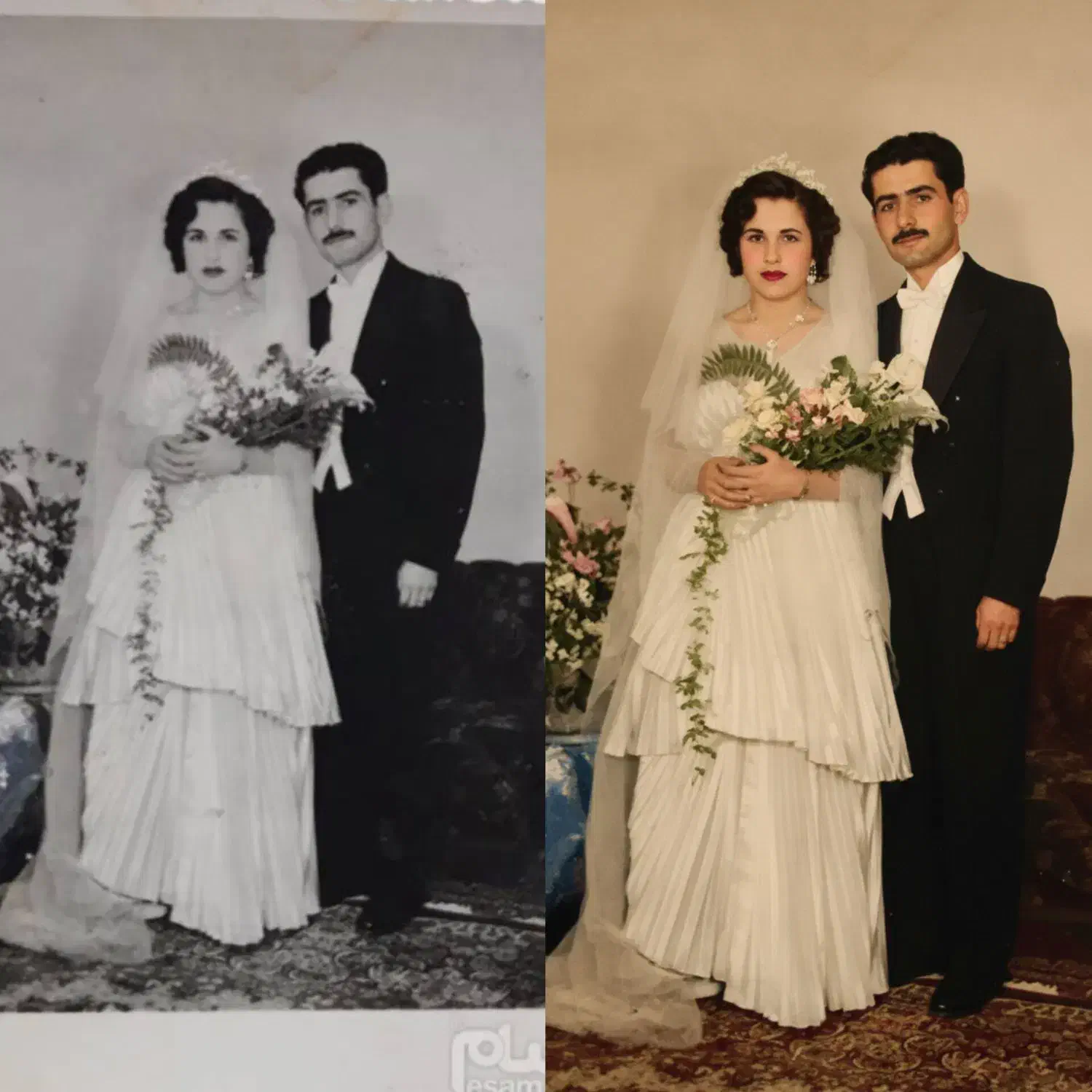 عکس آلبومی|تابلو، نقاشی، عکس|تربت جام, بوستان وحدت|دیوار