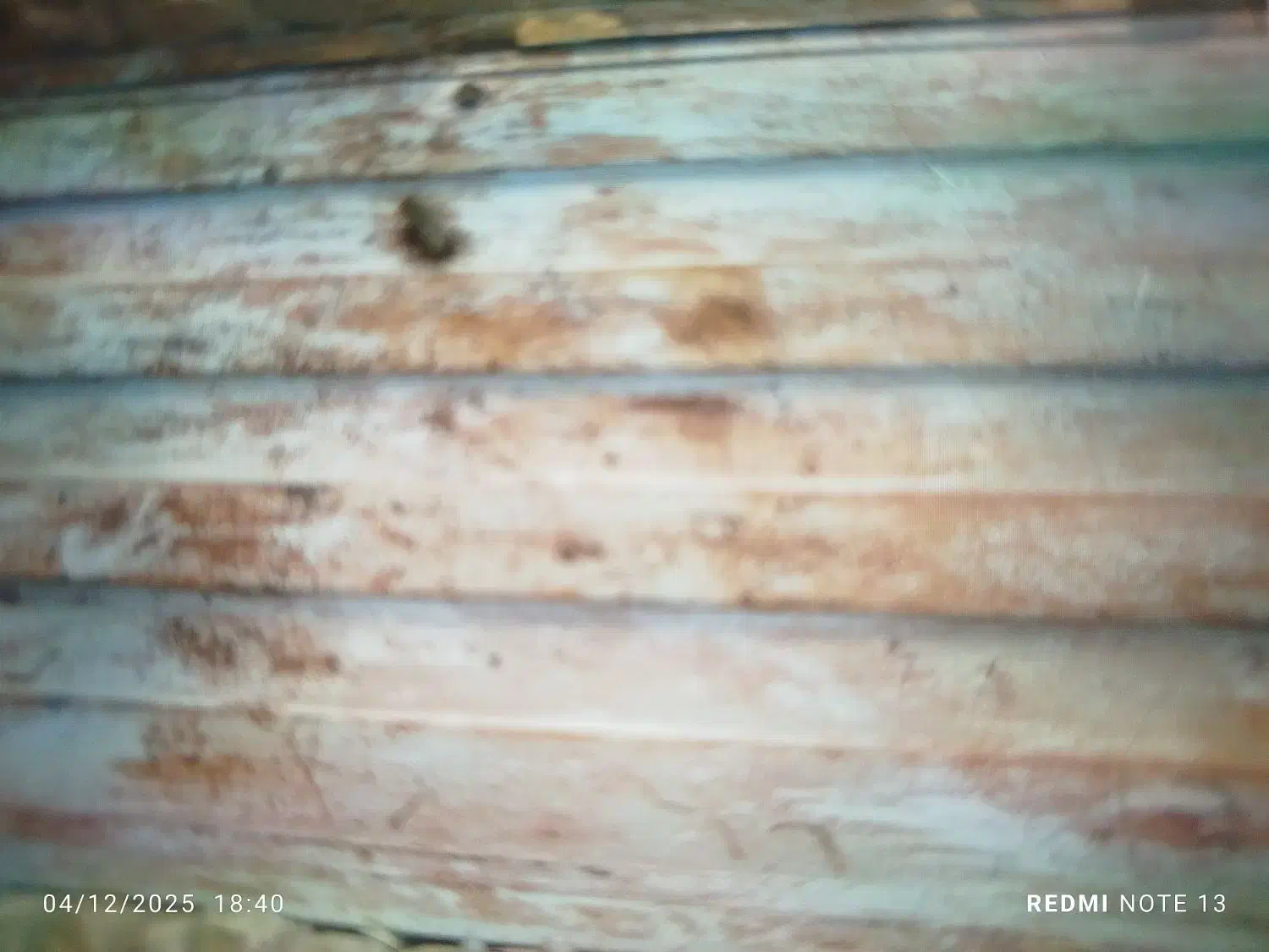 خانه اجاره ای|اجارهٔ خانه و ویلا|چناران, |دیوار