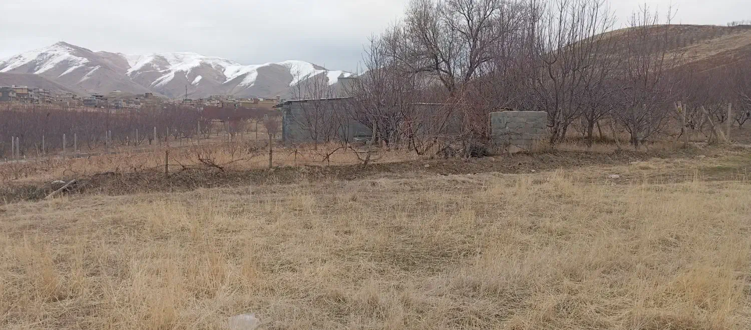 قلیان|اسباب‌‌بازی|سنندج, |دیوار