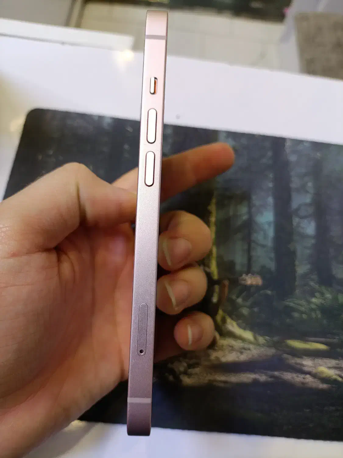 ایفون 13|موبایل|تبریز, |دیوار