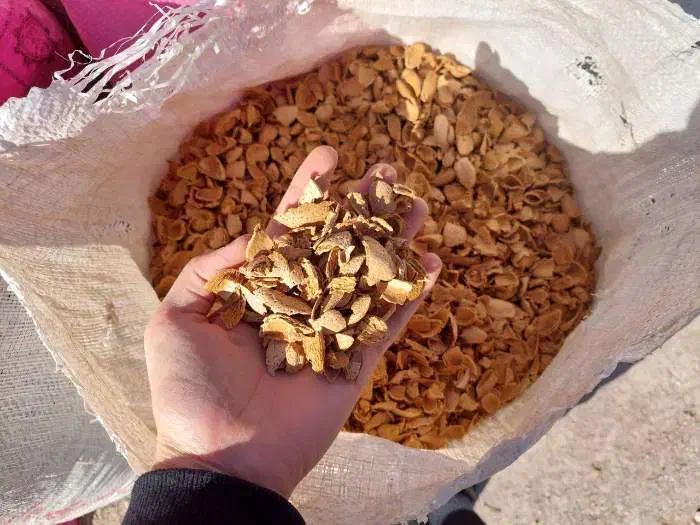 کارگر ساده یا استاد کار جهت کارگاه زغال|استخدام صنعتی، فنی، مهندسی|پاکدشت, پاکدشت (مامازند)|دیوار