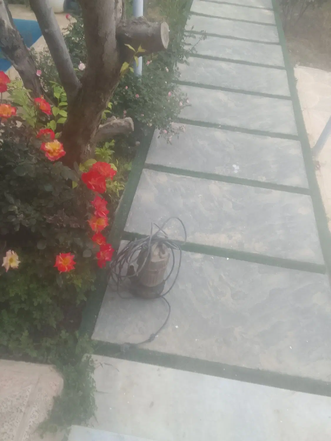 پمپ کف کش|ابزارآلات|کرج, کوی کارمندان شمالی|دیوار