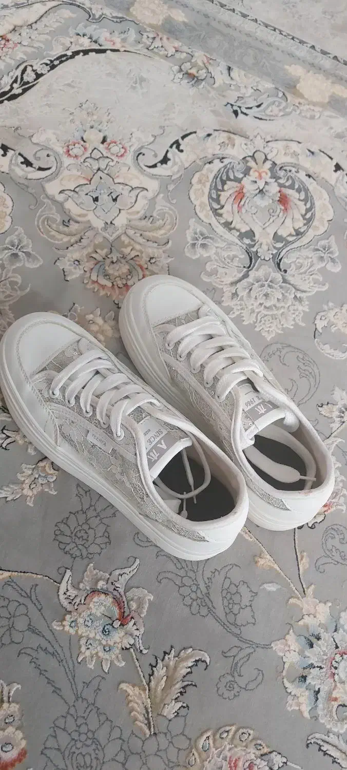 اسپرت عروس|کیف، کفش، کمربند|طبس, |دیوار