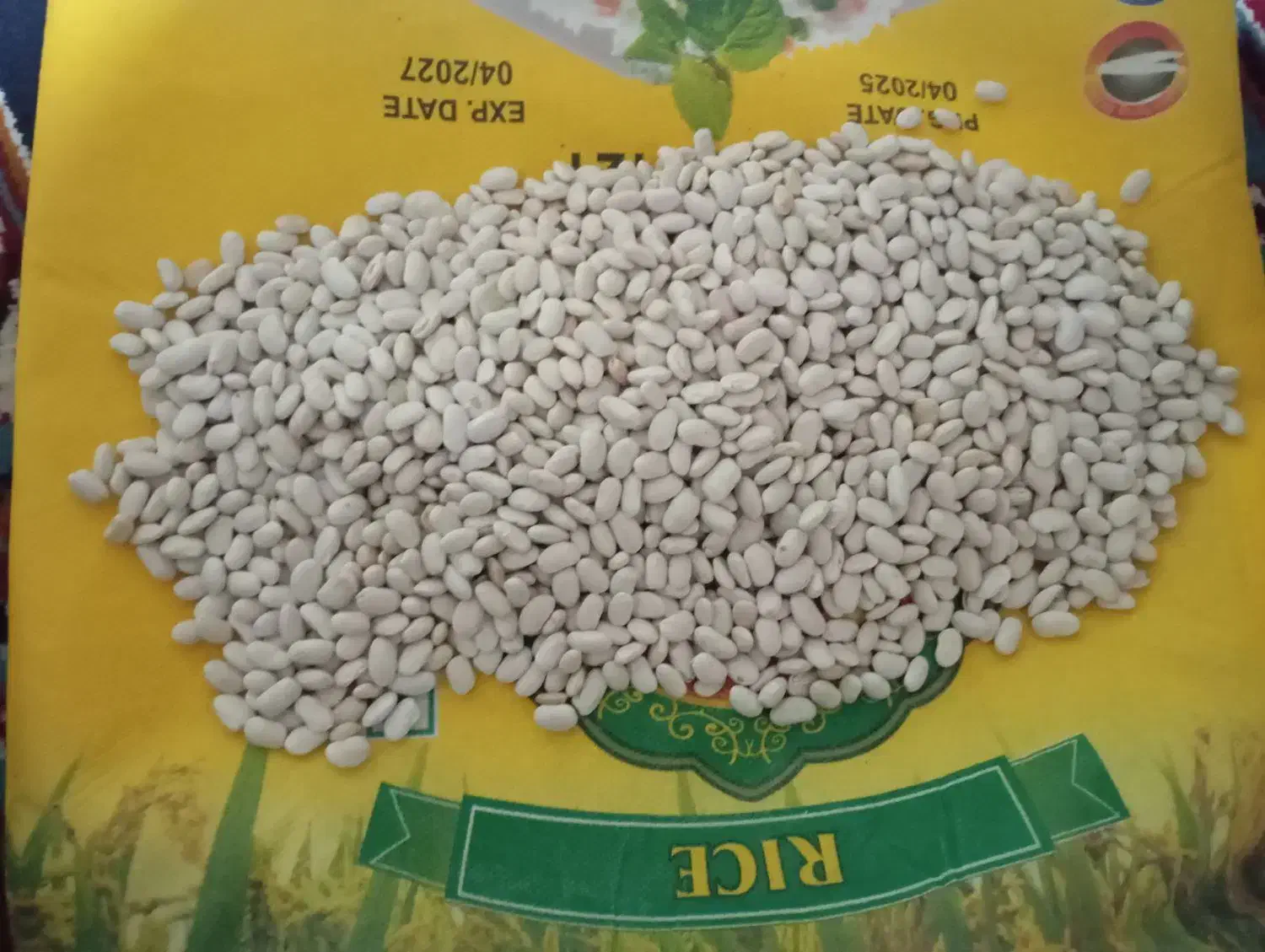 لوبیا سفید|گل و گیاه طبیعی|دینور, |دیوار