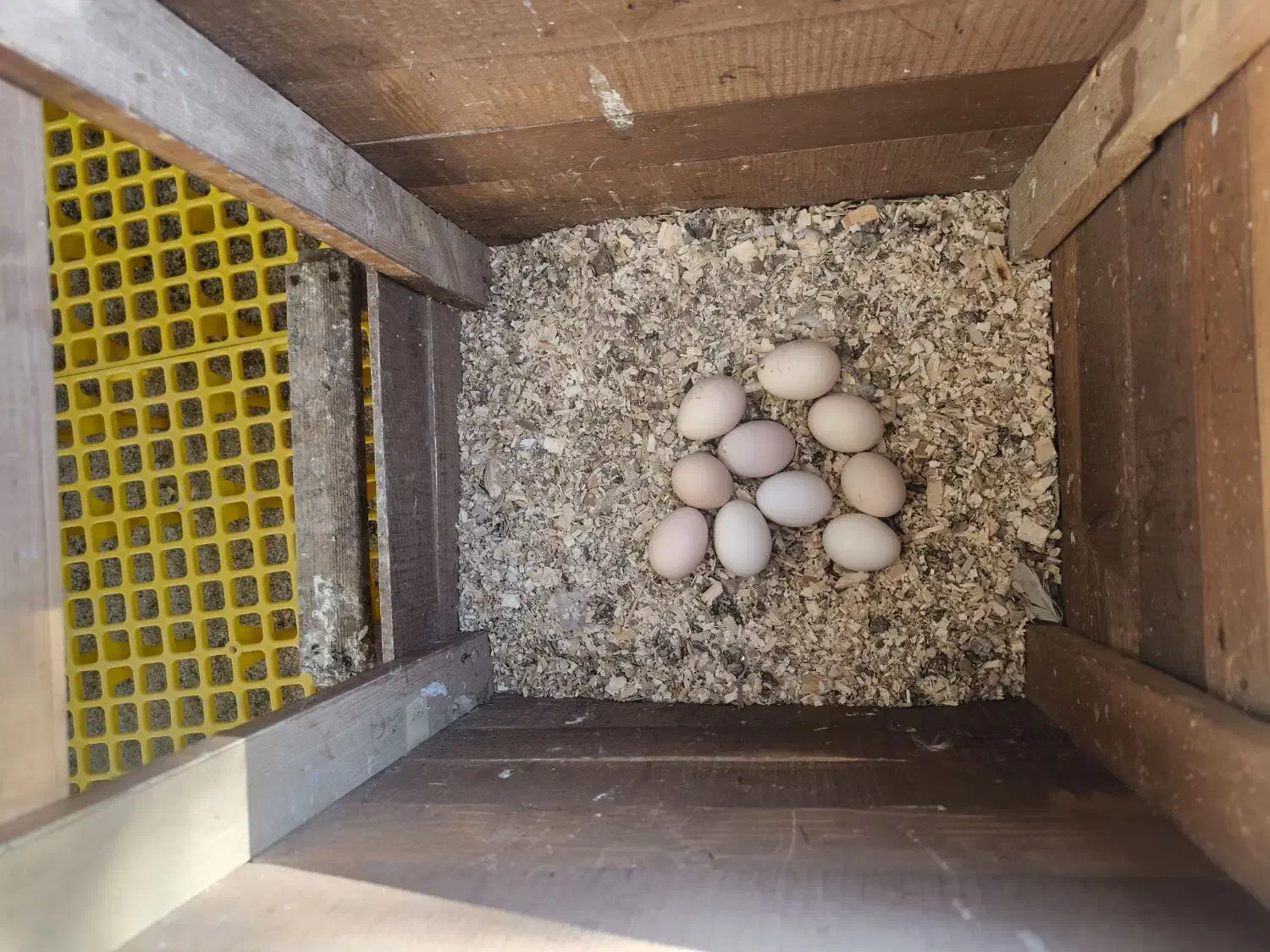 دستگاه جوجه کشی|لوازم جانبی حیوانات|شیراز, شهرک سراج|دیوار