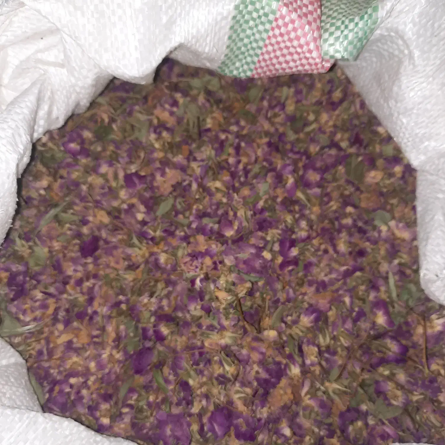 گل محمدی خوش عطر و ارگانیک|گل و گیاه طبیعی|قم, انسجام|دیوار