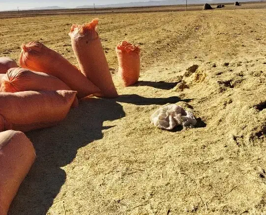 کاه گندم خرمن کوب|حیوانات مزرعه|شاندیز, |دیوار