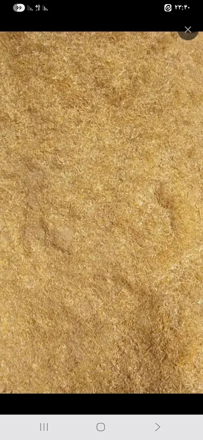 کاه زرد|لوازم جانبی حیوانات|قروه, |دیوار