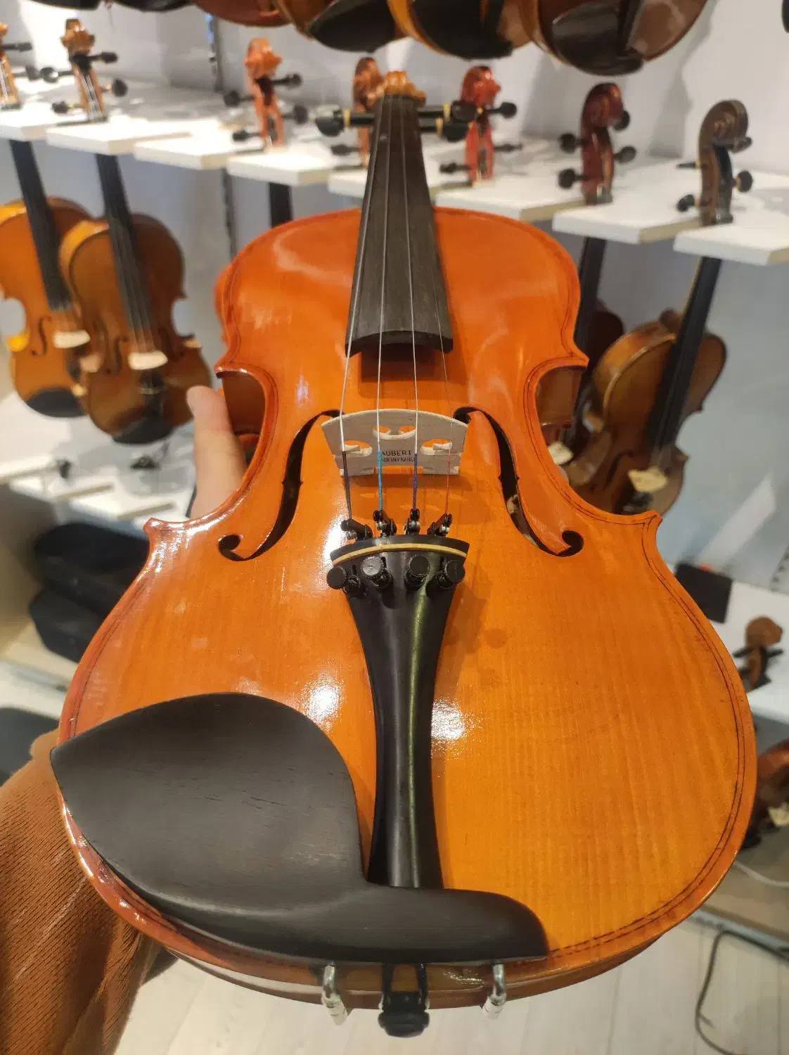 ویولن دستساز|ویولن|شیراز, شهرک قمشه|دیوار