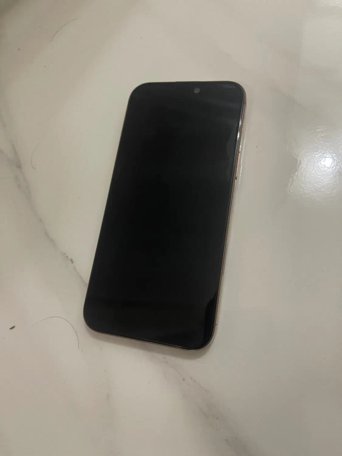 16promax|موبایل|یزد, |دیوار