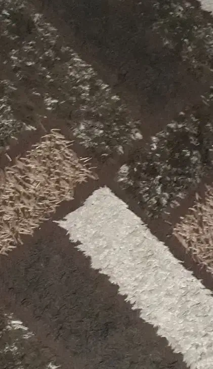 قالیچه کرم قهوه ای|فرش|رشت, شهرک پارس خزر|دیوار