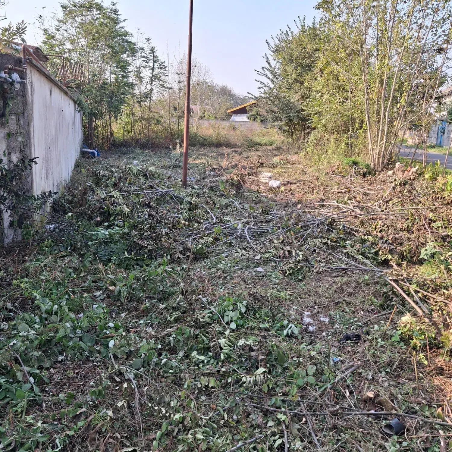 فروش زمین کامل مسکونی با نامه مسکونی|فروش زمین و ملک کلنگی|کوچصفهان, |دیوار