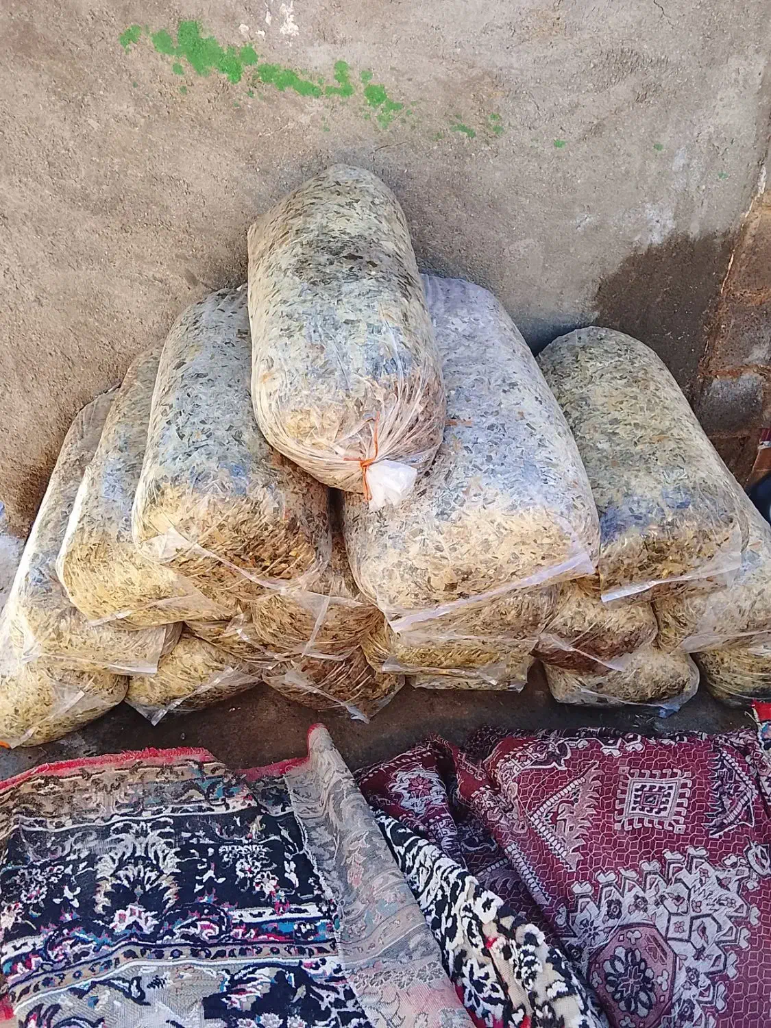 350کیلو ذرت|عمده‌فروشی|تایباد, |دیوار