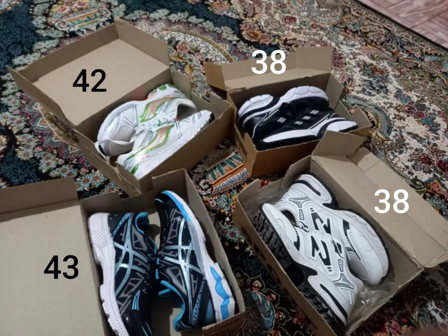 کفش|کیف، کفش، کمربند|ارومیه, |دیوار