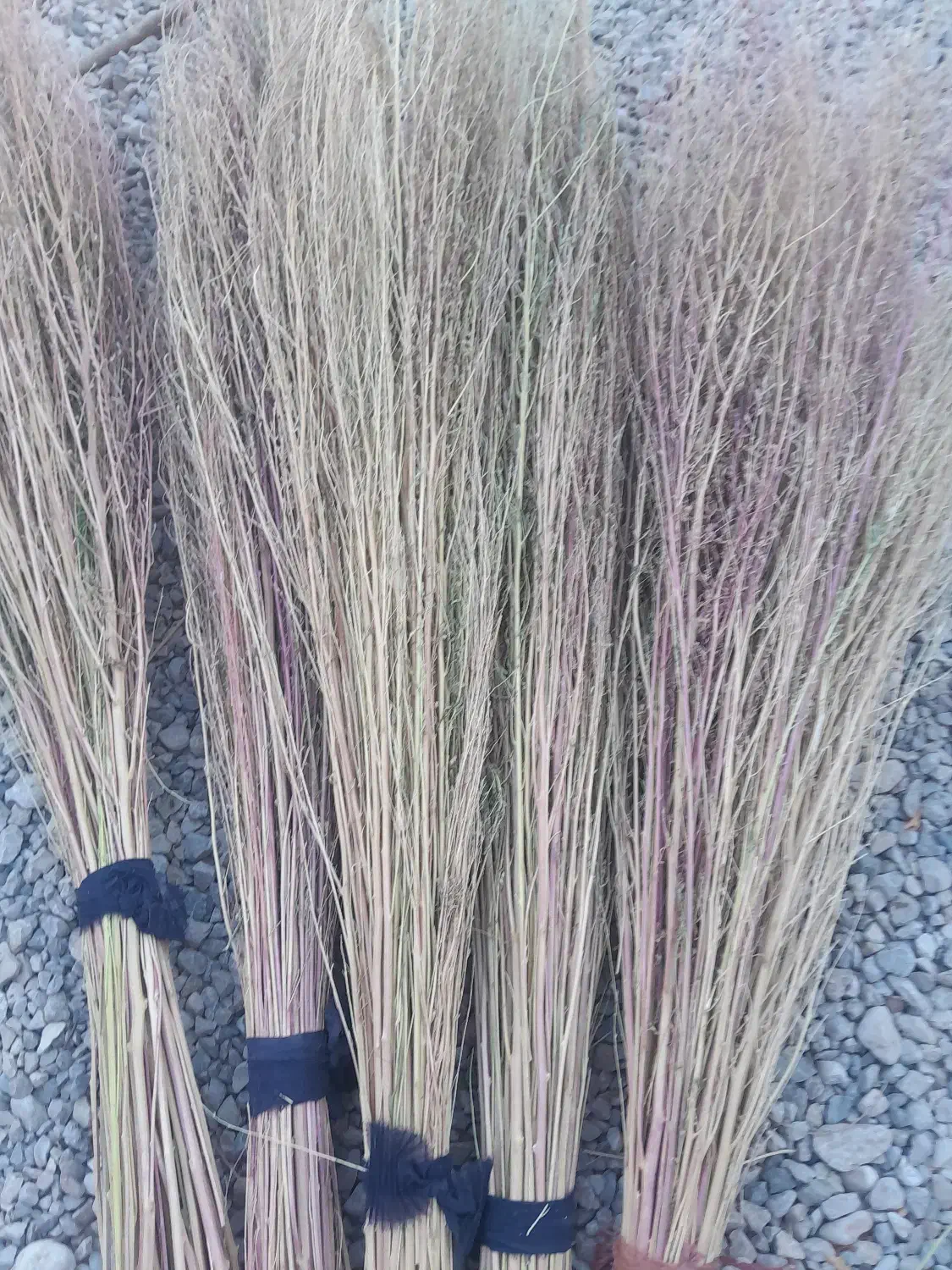 جارو شهرداری|لوازم نظافت|یاسوج, |دیوار