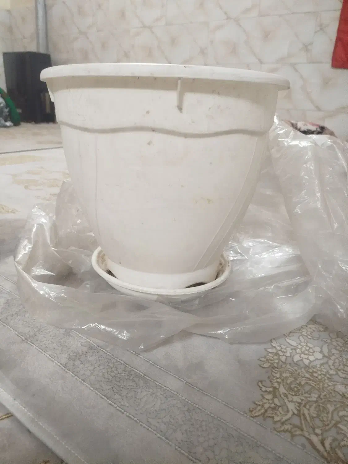 گلدان بزرگ و متوسط سفالی سالم|گل و گیاه طبیعی|اسلام‌شهر, شهرک محمدیه|دیوار