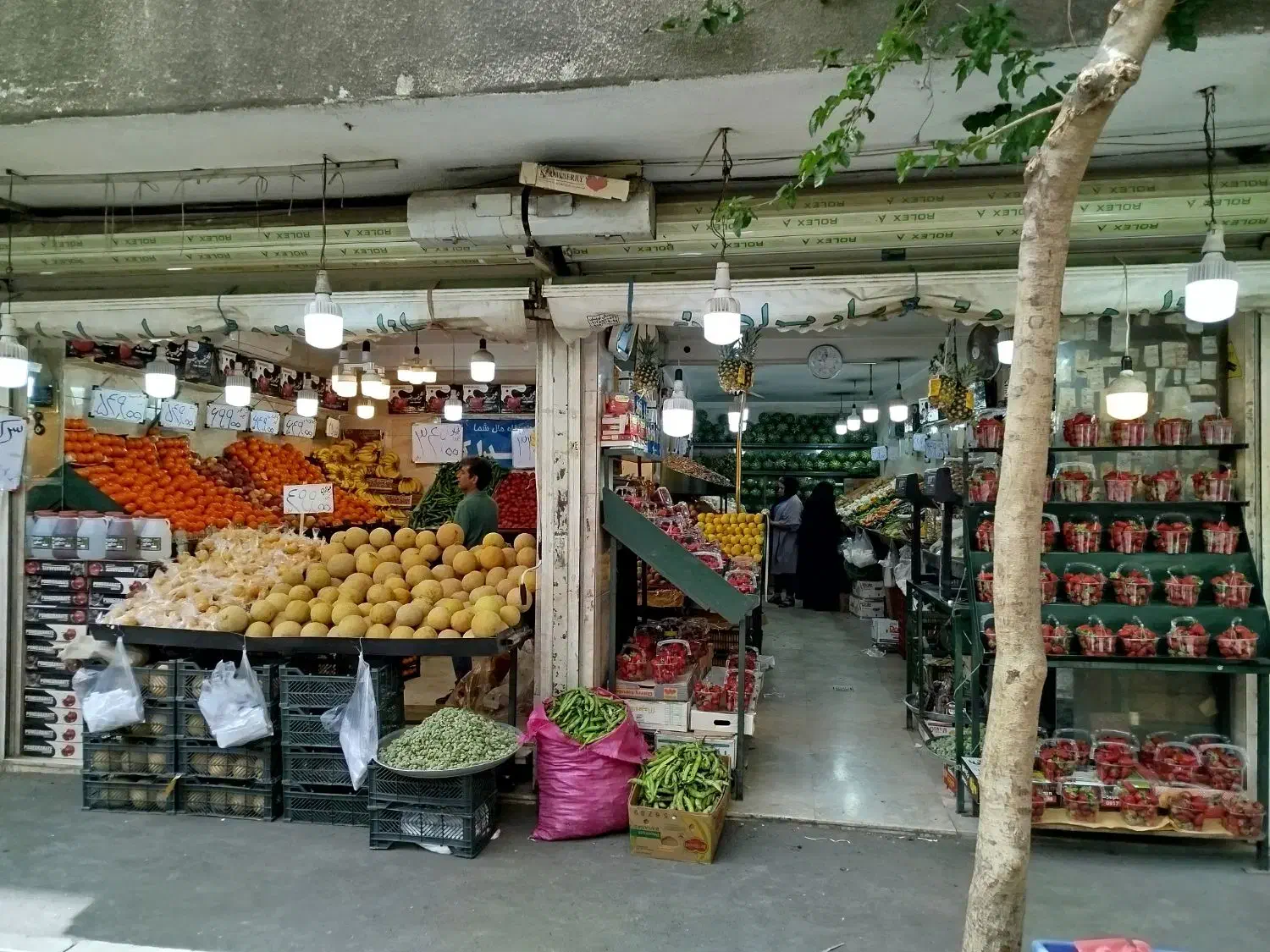 کارگر کاربلد میوه فروشی|استخدام خدمات فروشگاه و رستوران|تهران, وحیدیه|دیوار