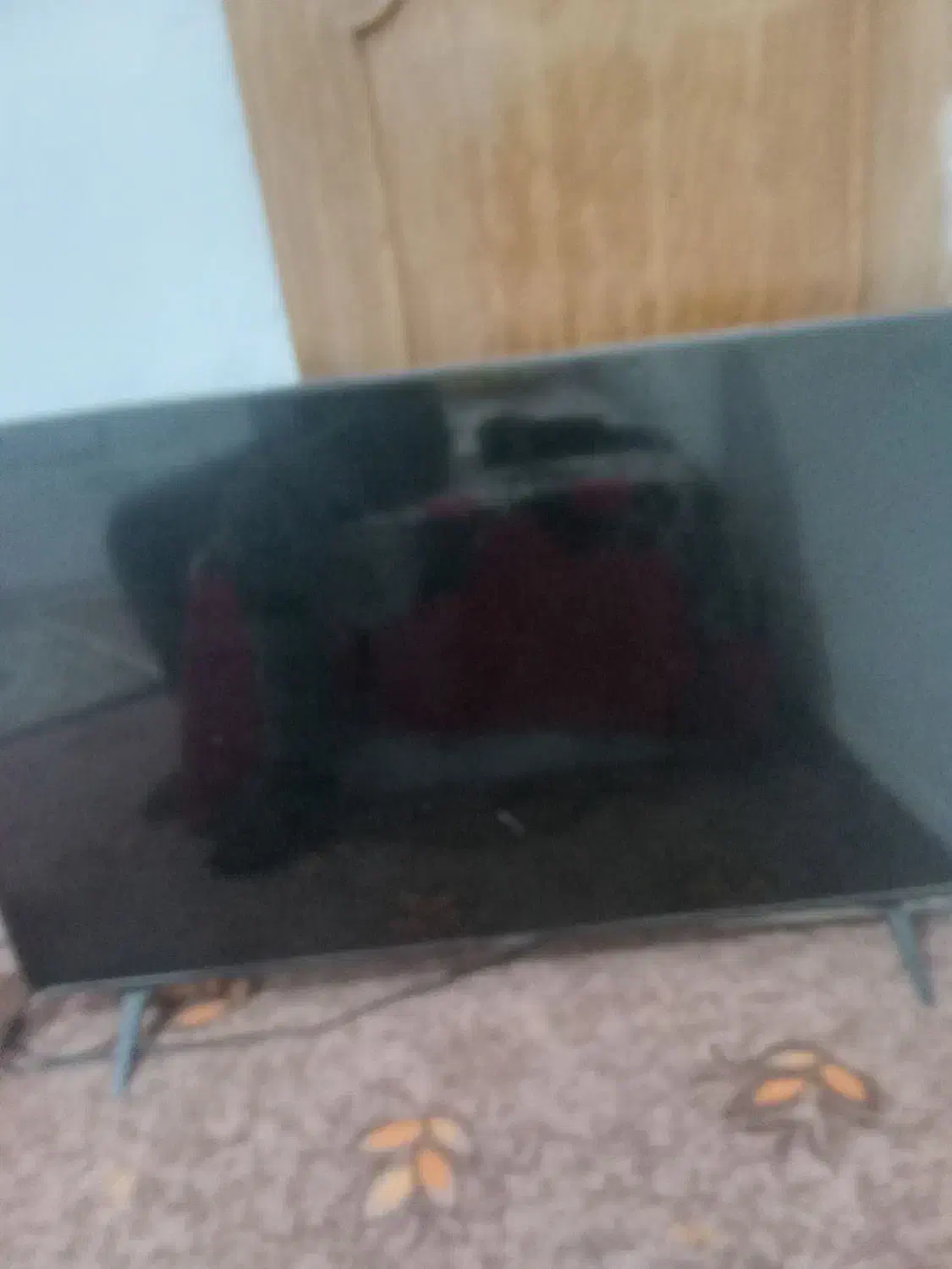 ال ای دی|تلویزیون و پروژکتور|شیراز, محراب|دیوار