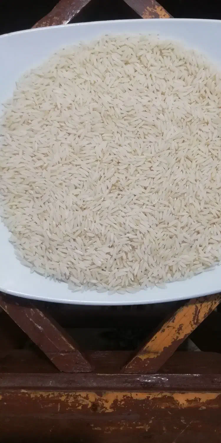 برنج هاشمی|خوردنی و آشامیدنی|رشت, فلسطین|دیوار