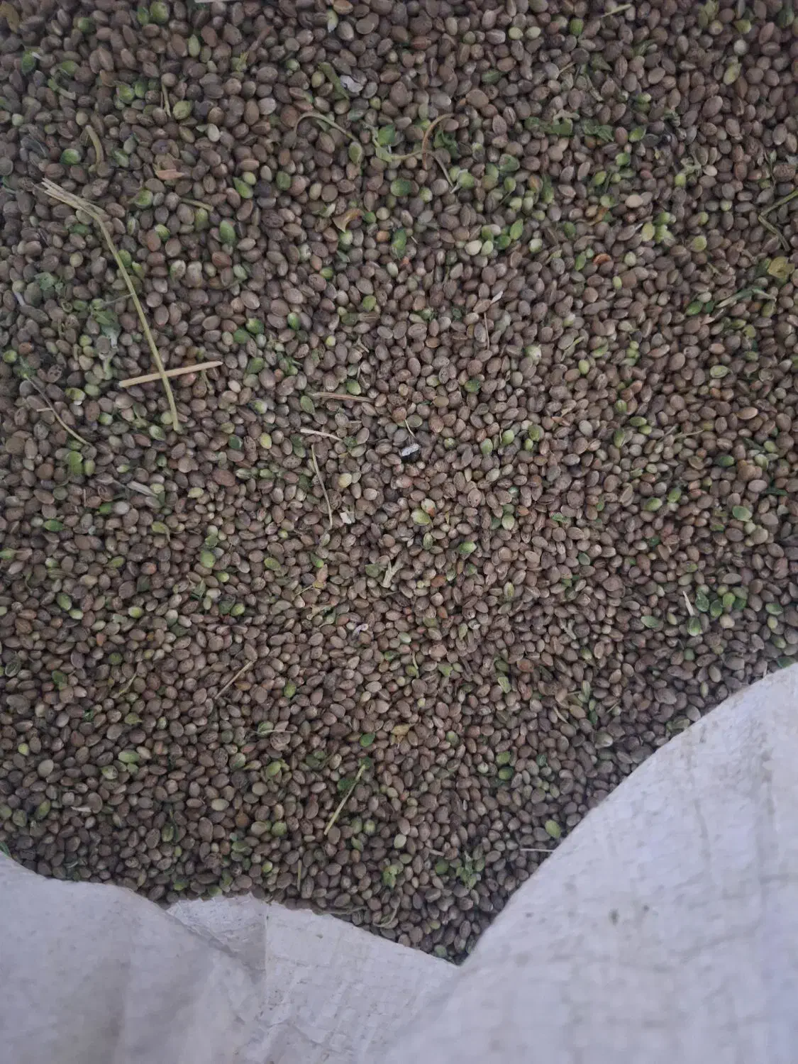 شاهدانه|عمدهفروشی|داران, |دیوار