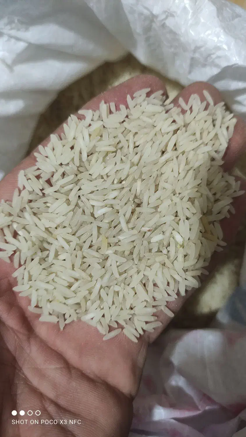 انواع برنج محلی و ایرانی|خوردنی و آشامیدنی|شیراز, احمدی جنوبی|دیوار