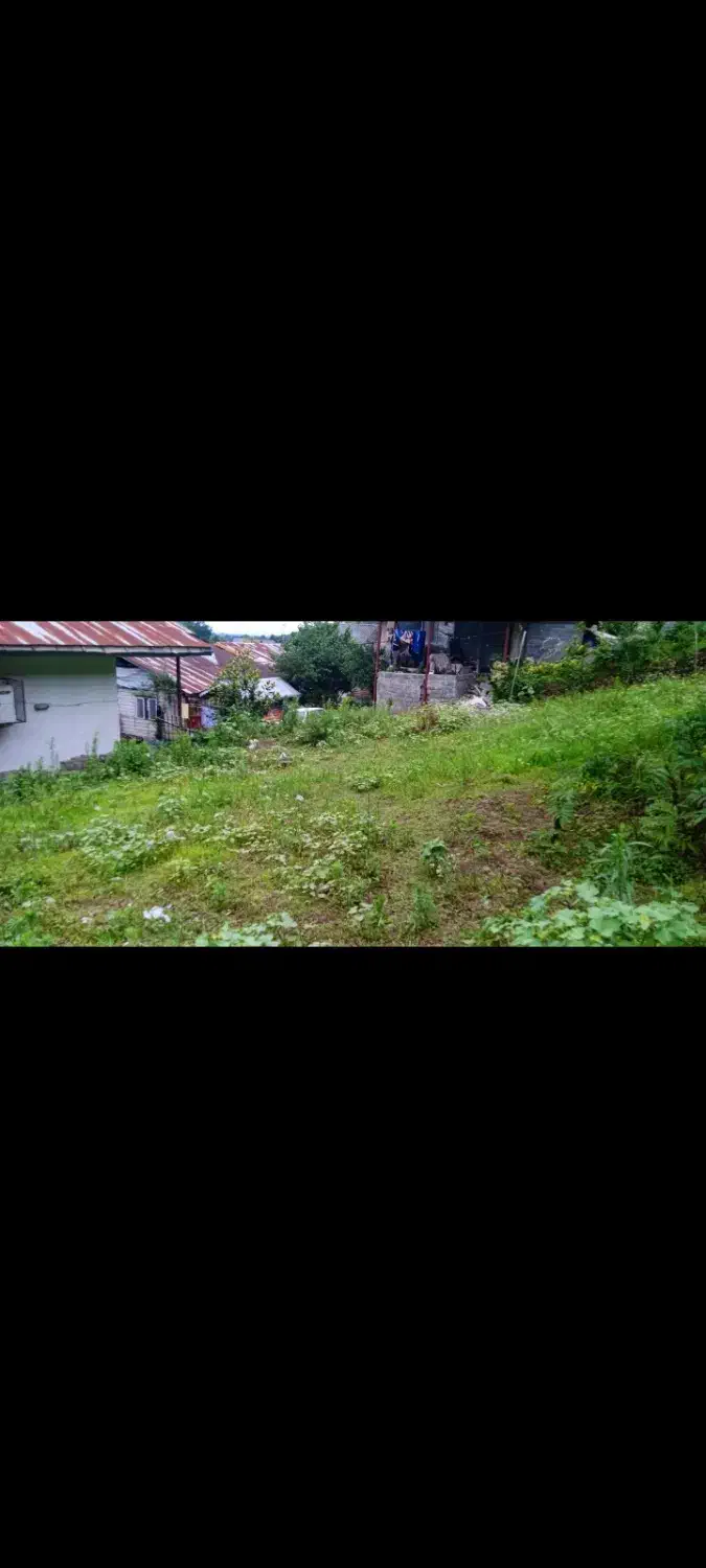 زمین مسکونی ۲۰۰ متری با چشم انداز همیشگی|فروش زمین و ملک کلنگی|املش, |دیوار