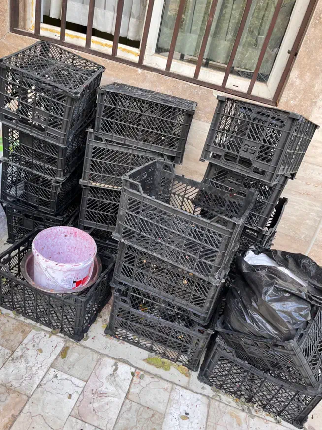 سبد میوه|ظروف نگهدارنده، پلاستیکی، یک‌بارمصرف|دماوند, گیلاوند|دیوار