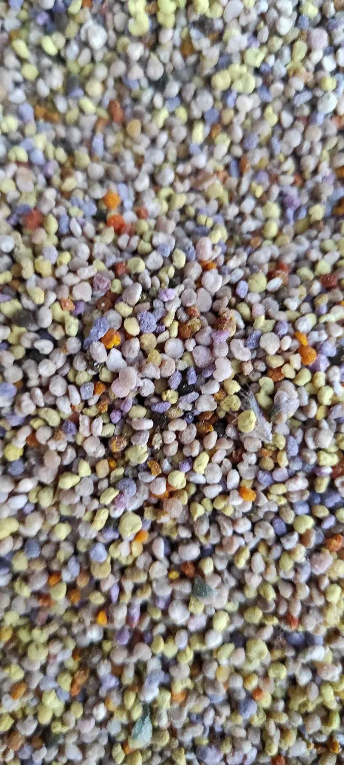 گرده گل|خوردنی و آشامیدنی|نورآباد, |دیوار
