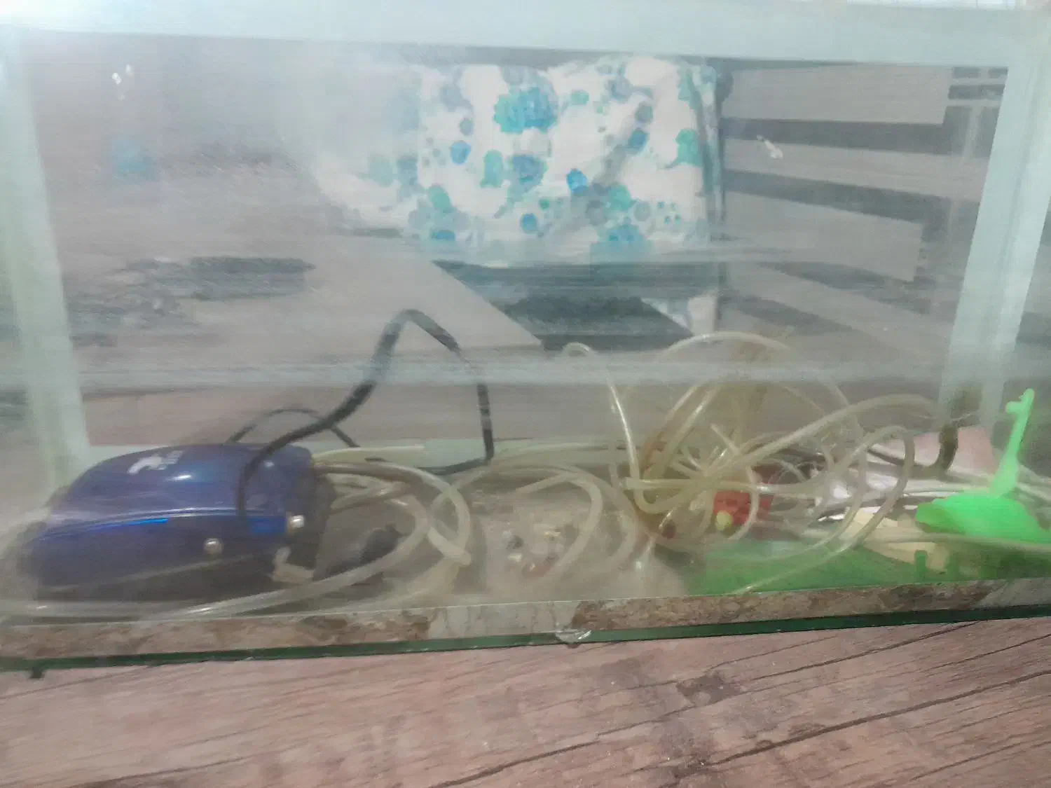 آکواریوم همراه با پمپ|ماهی|مشهد, کلاهدوز|دیوار