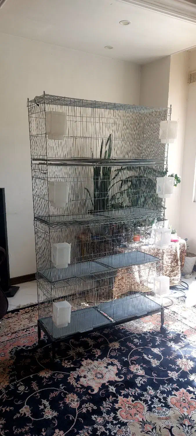 قفس پرون،قفس پژاوند 1033 قفس خورشیدی پایه قفس لانه|لوازم جانبی حیوانات|اندیشه, اندیشه فاز ۱|دیوار