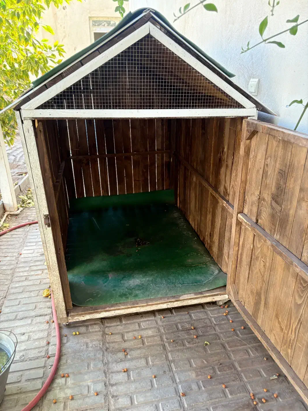 قفس|لوازم جانبی حیوانات|بم, |دیوار