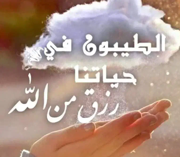 فیش مکه|تور و چارتر|شوشتر, |دیوار