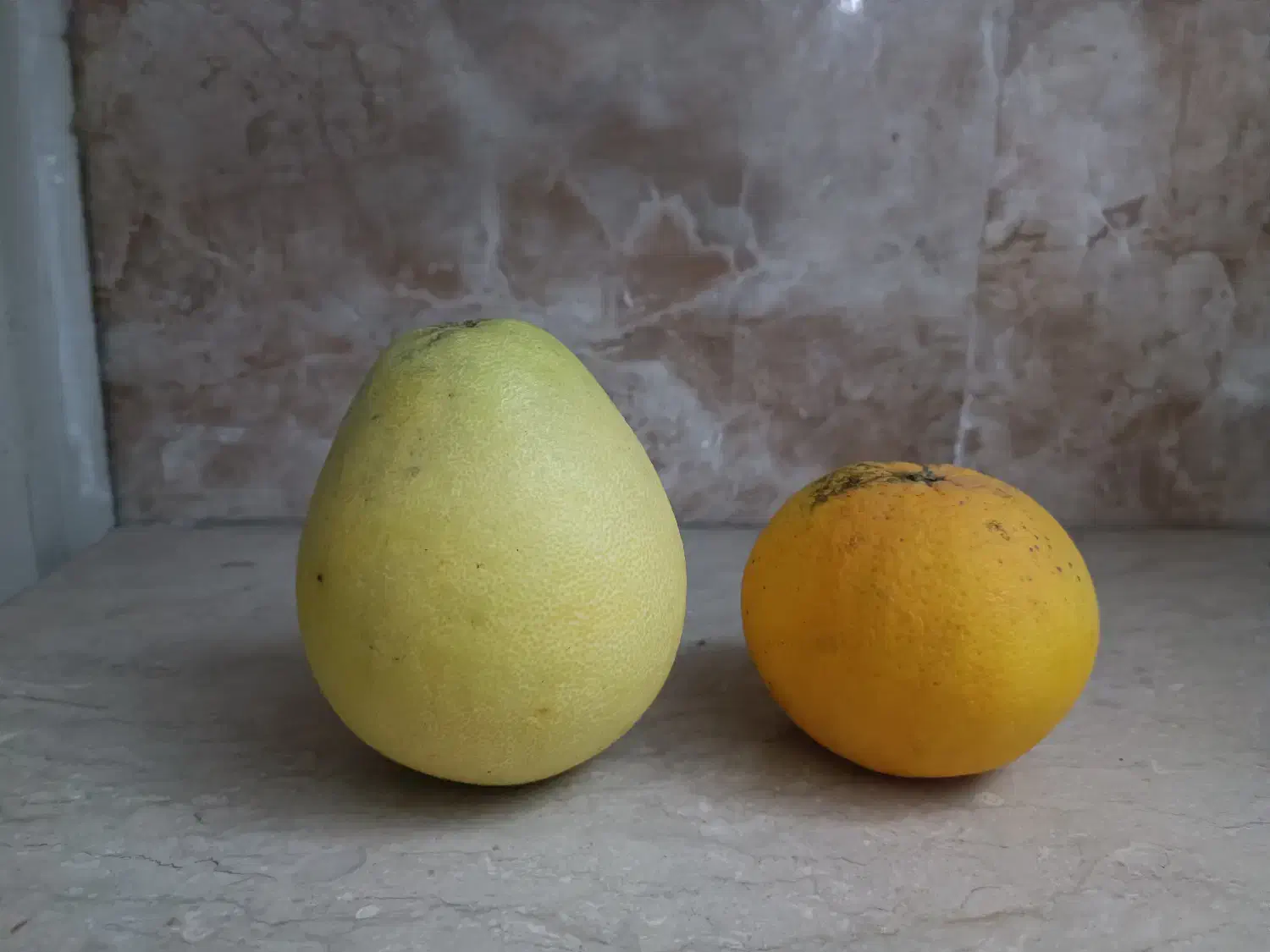 سلطان مرکبات ، پاملو ، دارابی|خوردنی و آشامیدنی|قائم‌شهر, |دیوار