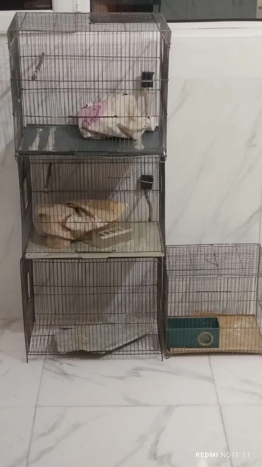 قفسه قناری|لوازم جانبی حیوانات|رباطکریم, شترخوار|دیوار