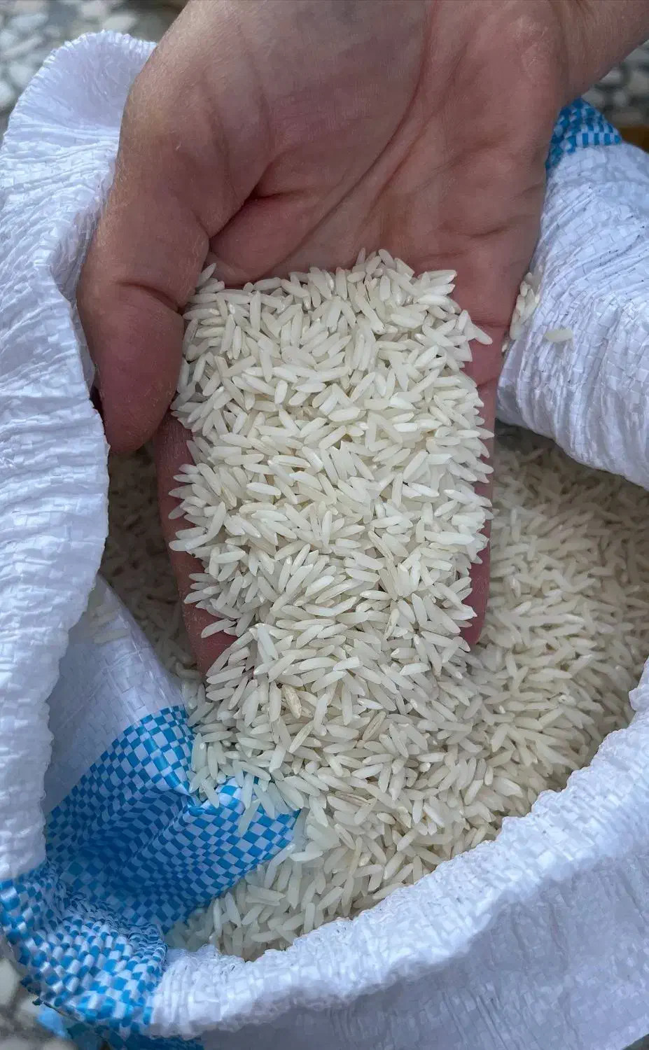 برنج هاشمی ممتاز آستانه|خوردنی و آشامیدنی|تهران, ترمینال غرب|دیوار