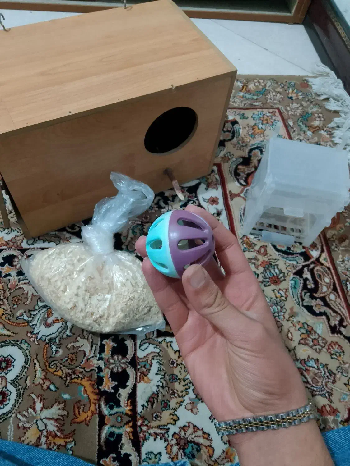 لانه پرنده|پرنده|تهران, بهمن یار|دیوار