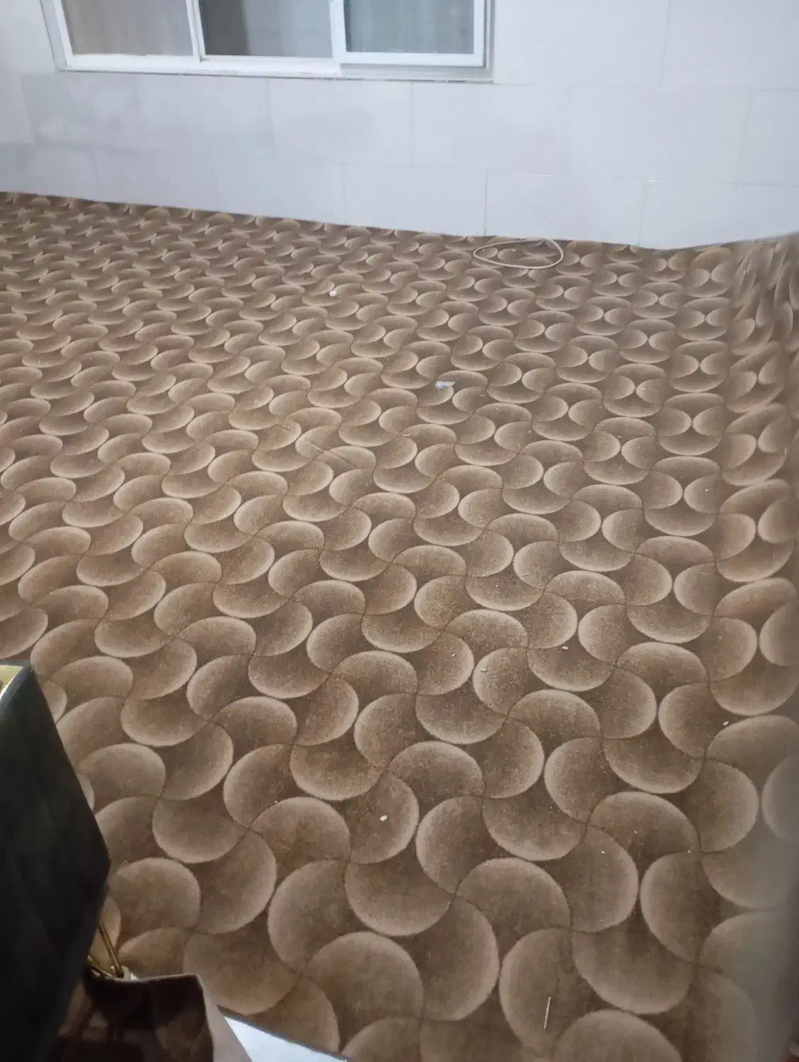 موکت 35 متری|موکت|شیراز, کوشک میدان|دیوار