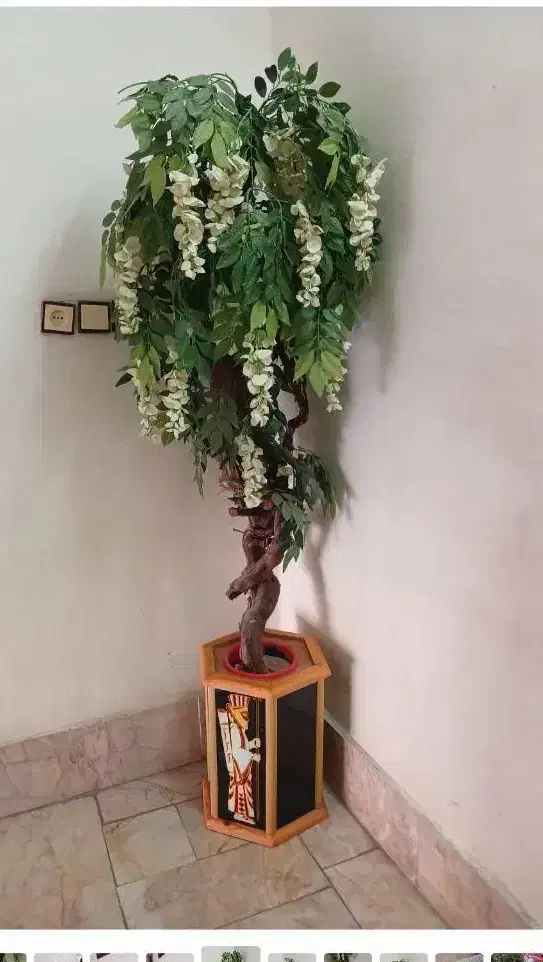 درختچه گل/پایه گل|گل مصنوعی|مشهد, سیلو|دیوار