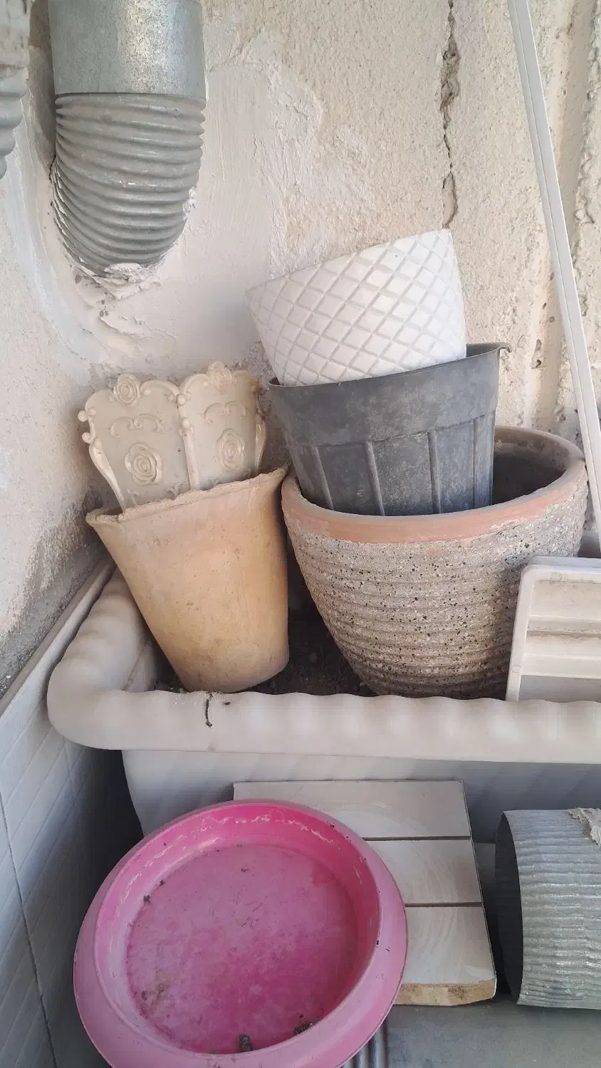 تعدادی گلدان|گل و گیاه طبیعی|تهران, شهرک آسمان|دیوار