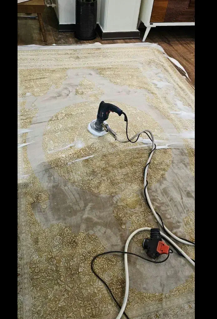 قالیشویی|خدمات نظافت|کیش, |دیوار