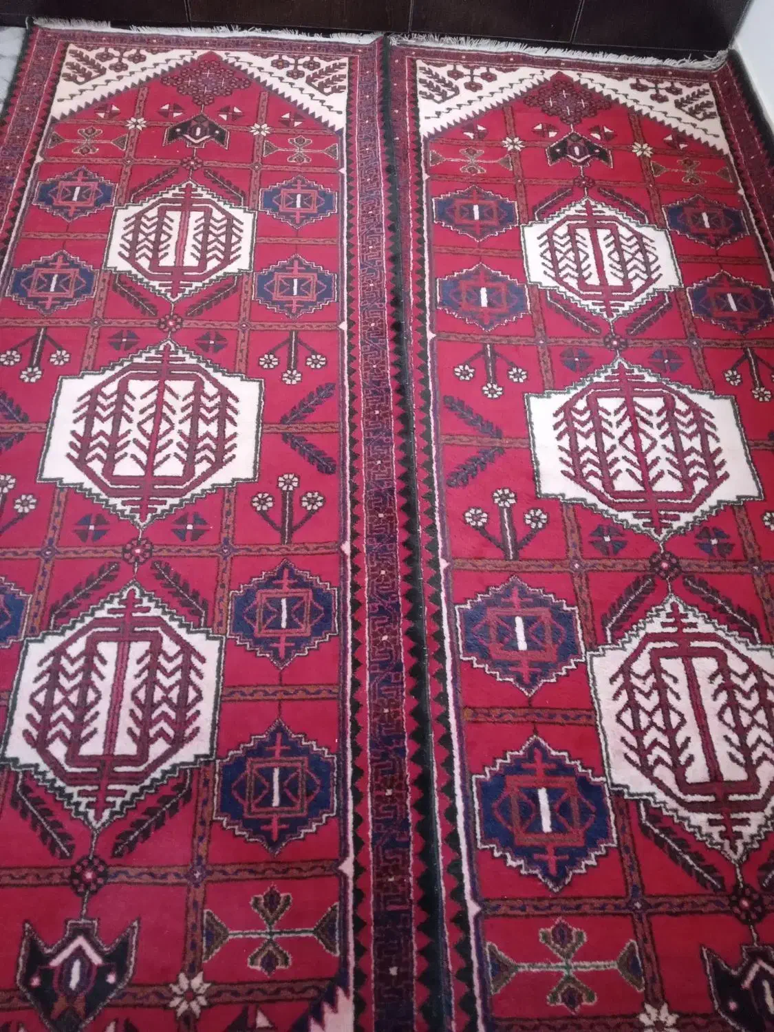 فرش دستباف ۳متری|فرش|ساوه, |دیوار