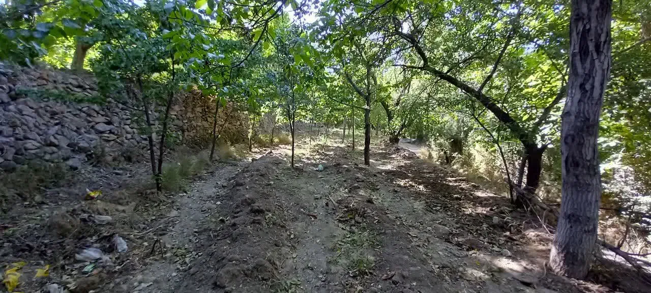 زمین فروشی|فروش زمین و ملک کلنگی|کهک, |دیوار