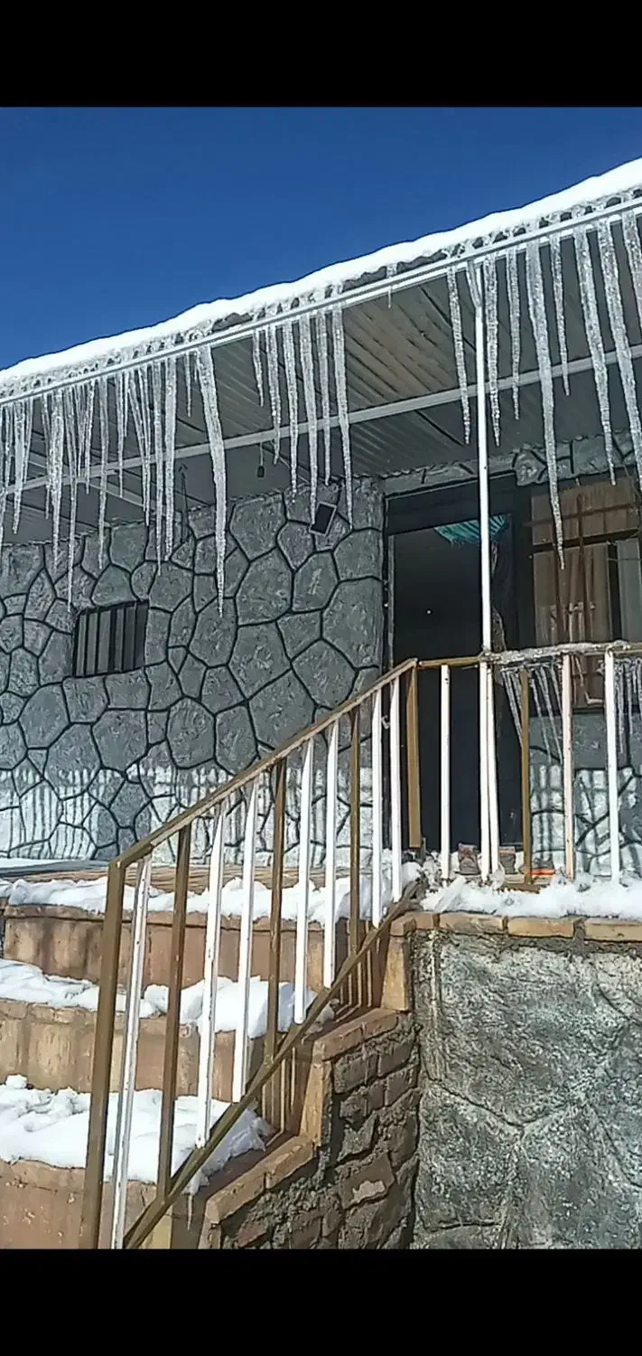 همخونه|اجارهٔ خانه و ویلا|بیرجند, |دیوار