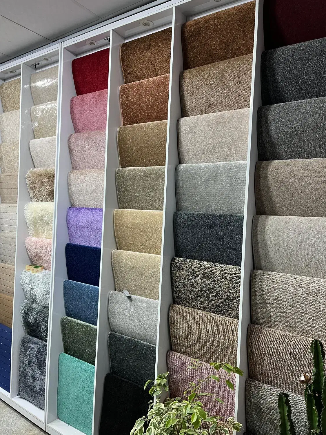 موکت پالاز و فرش|فرش|ورامین, ورامین|دیوار